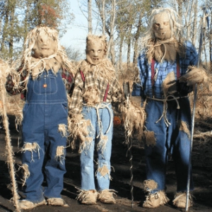 Pumpkin Fest 3 live scarecrows