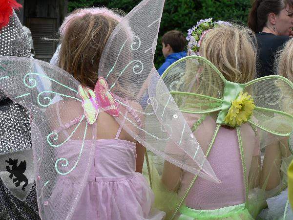Fairies
