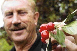 Ieuan Evans Cherry