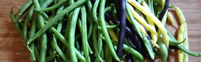 Featured image for “Green, Purple & Yellow Snap Beans with Bacon Vinaigrette”