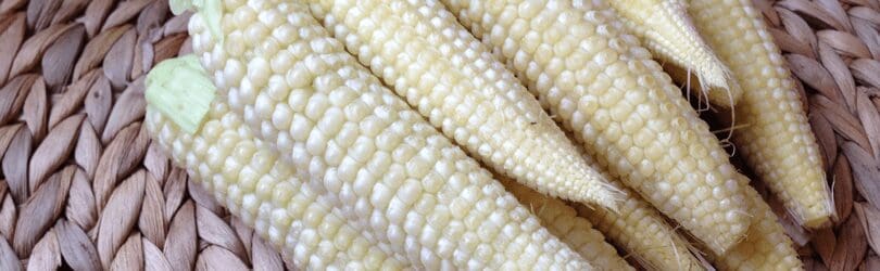 Featured image for “Baby Corn Succotash”