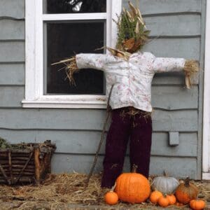 Scarecrow Sally