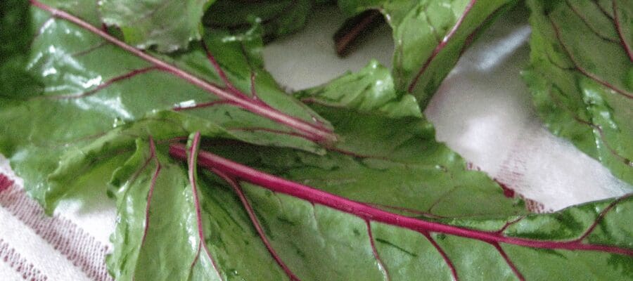 Featured image for “Beet leaf “little pigeons” holubsti”