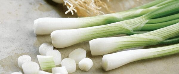 Featured image for “Feta, tofu and white Lisbon onion omelette”