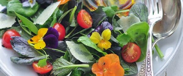 Featured image for “Spring salad with black currant vinaigrette”