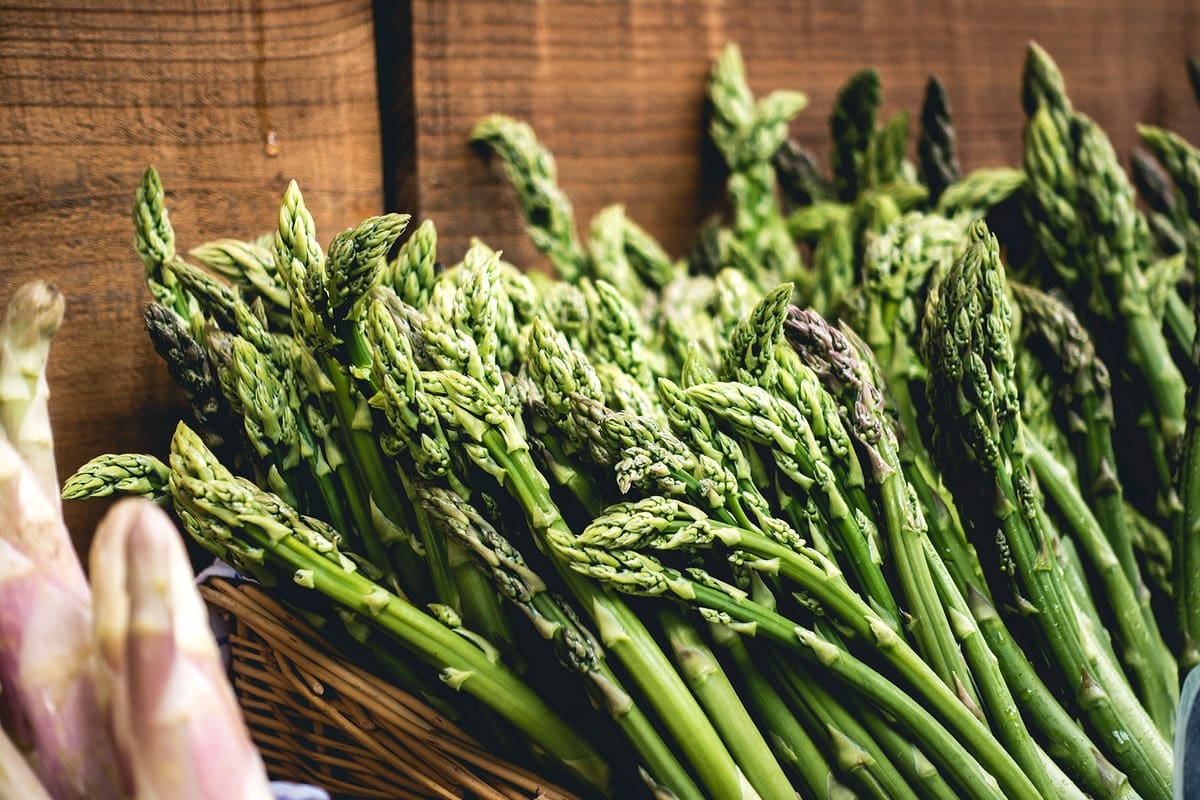 Featured image for “Asparagus Millenium”