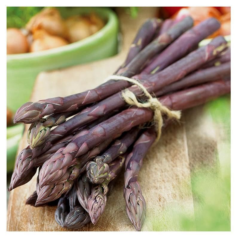 Photo courtesy of Jeffries Nurseries