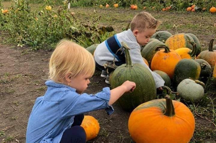 Featured image for “Junior Farmer Program”