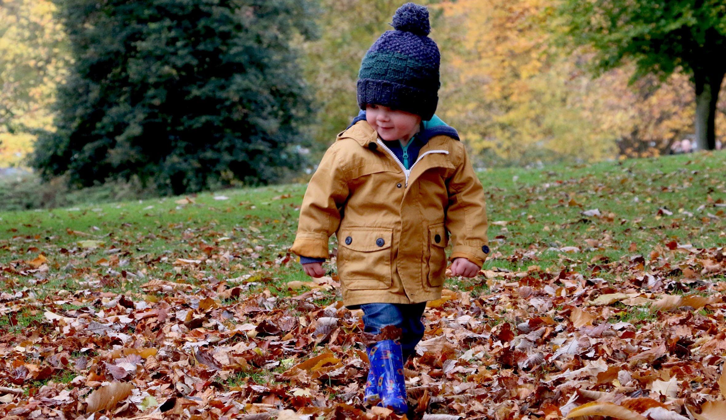 Featured image for “Self-Guided Fall School Field Trips”