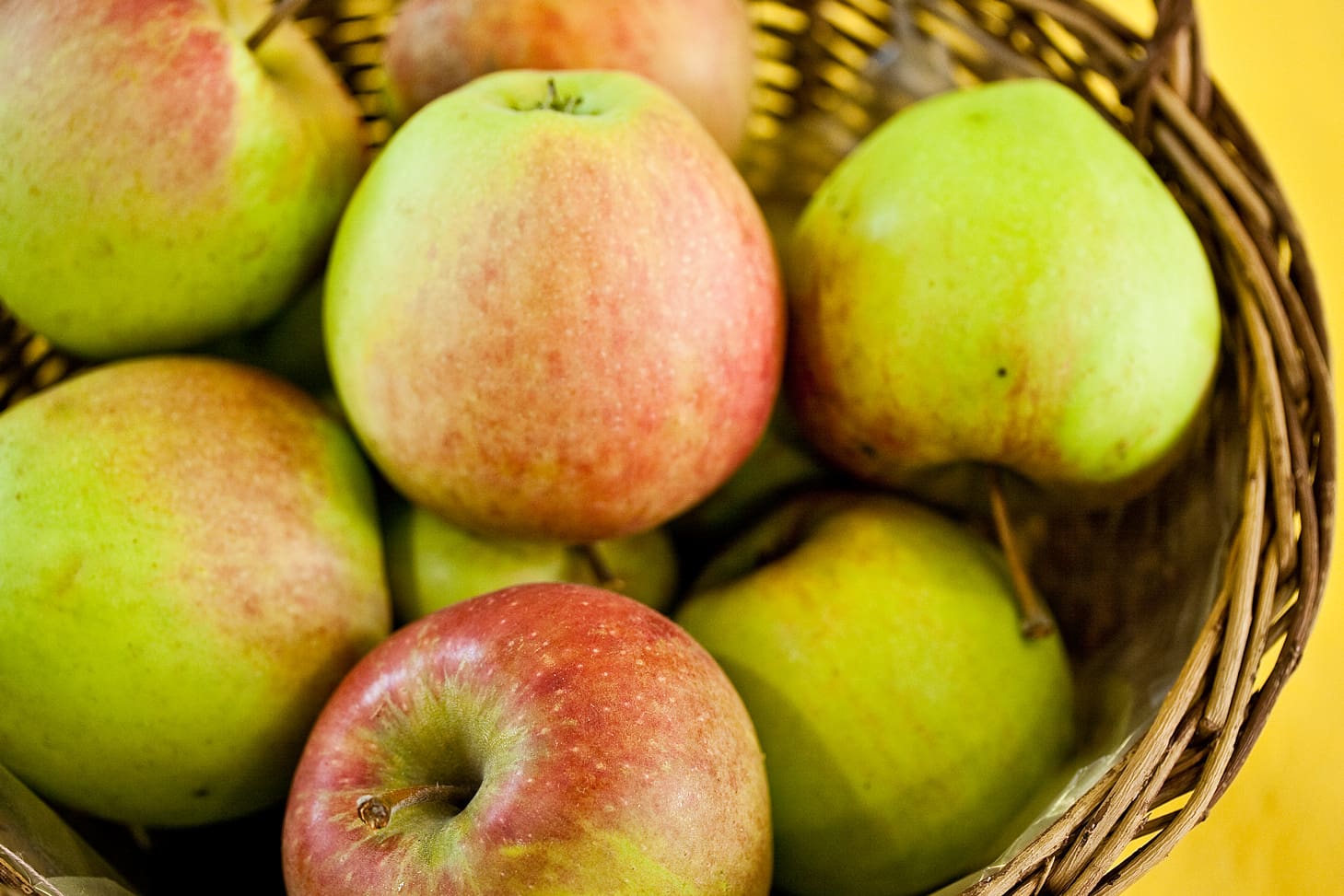 Featured image for “Northern Spy Apple”