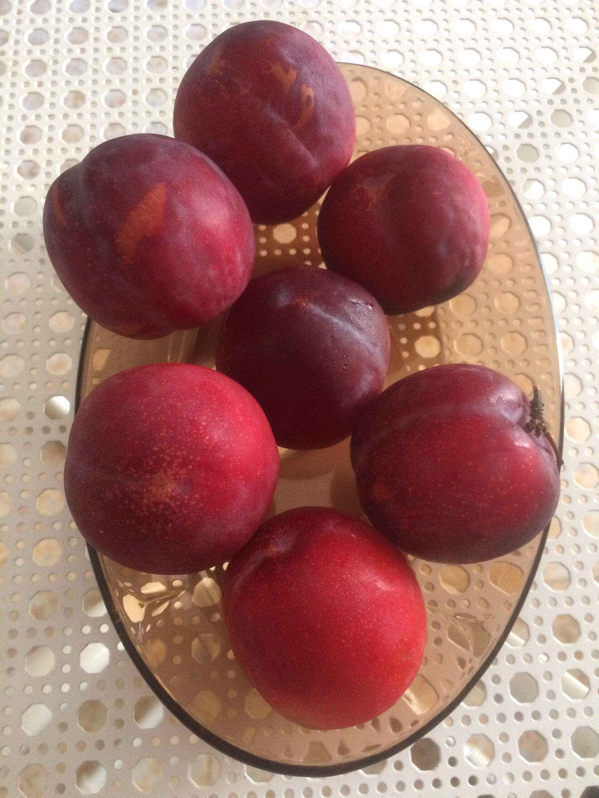 Featured image for “Waneta Plum”
