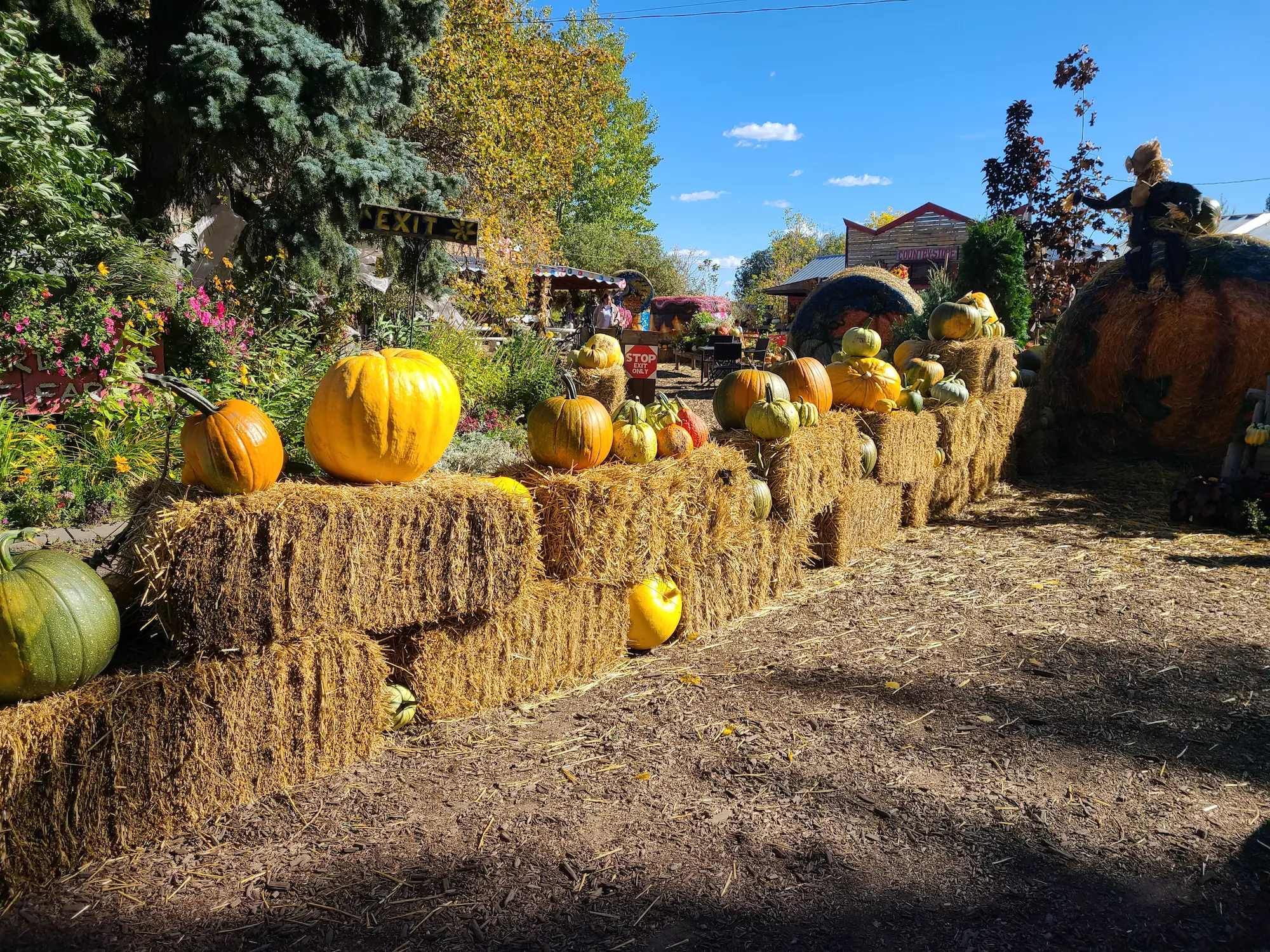 Pumpkin Patch & Pancake Breakfast - Image 4
