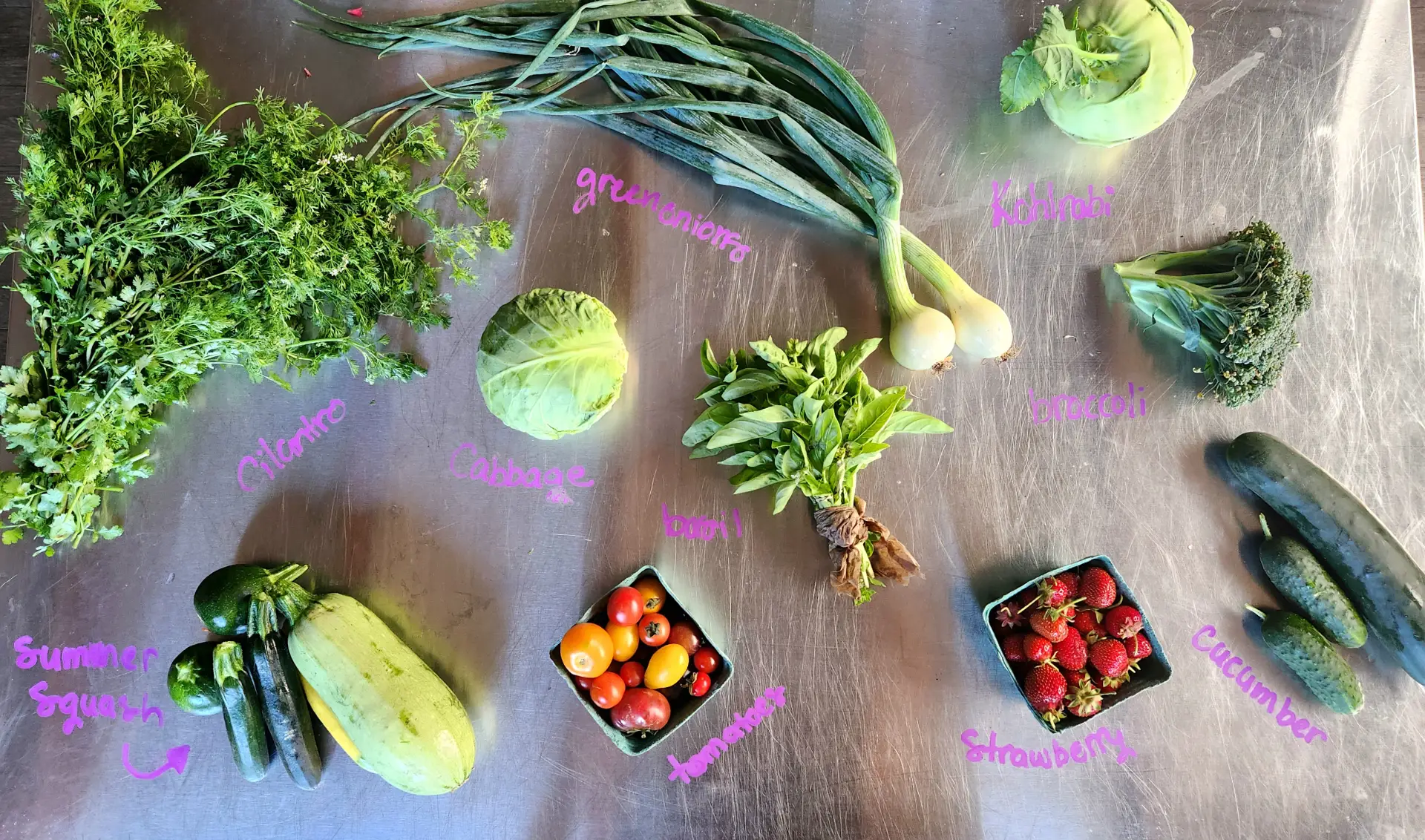 Featured image for “From Soil to Supper: Behind the Scenes of Our Farm-to-Table CSA Season”