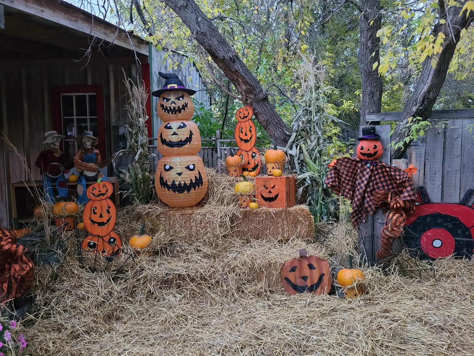 Pumpkin Patch & Pancake Breakfast - Image 5