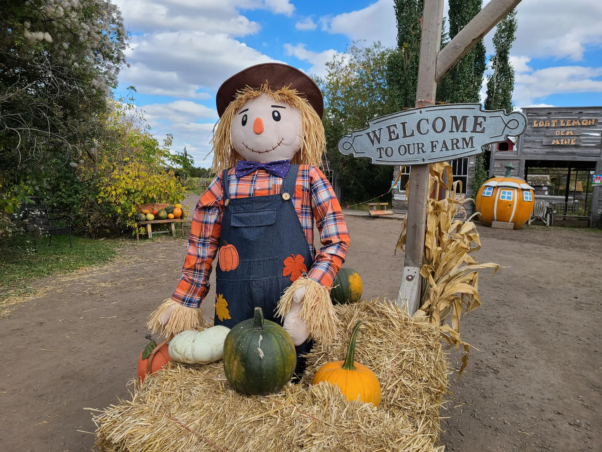 Pumpkin Patch & Pancake Breakfast