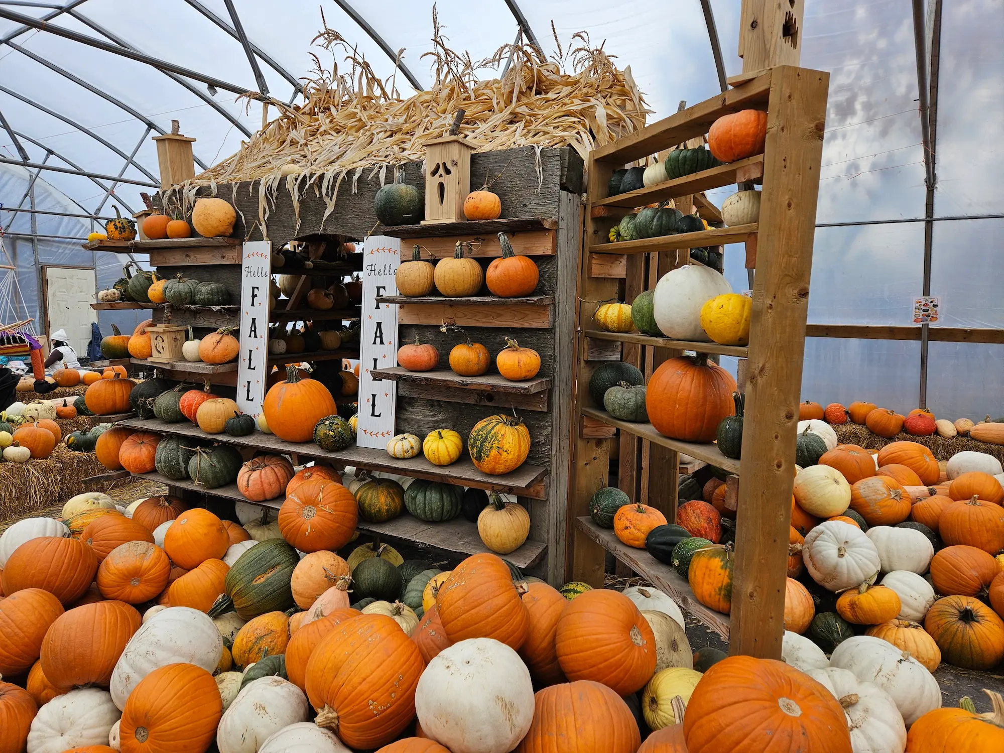 Pumpkin Patch & Pancake Breakfast - Image 3