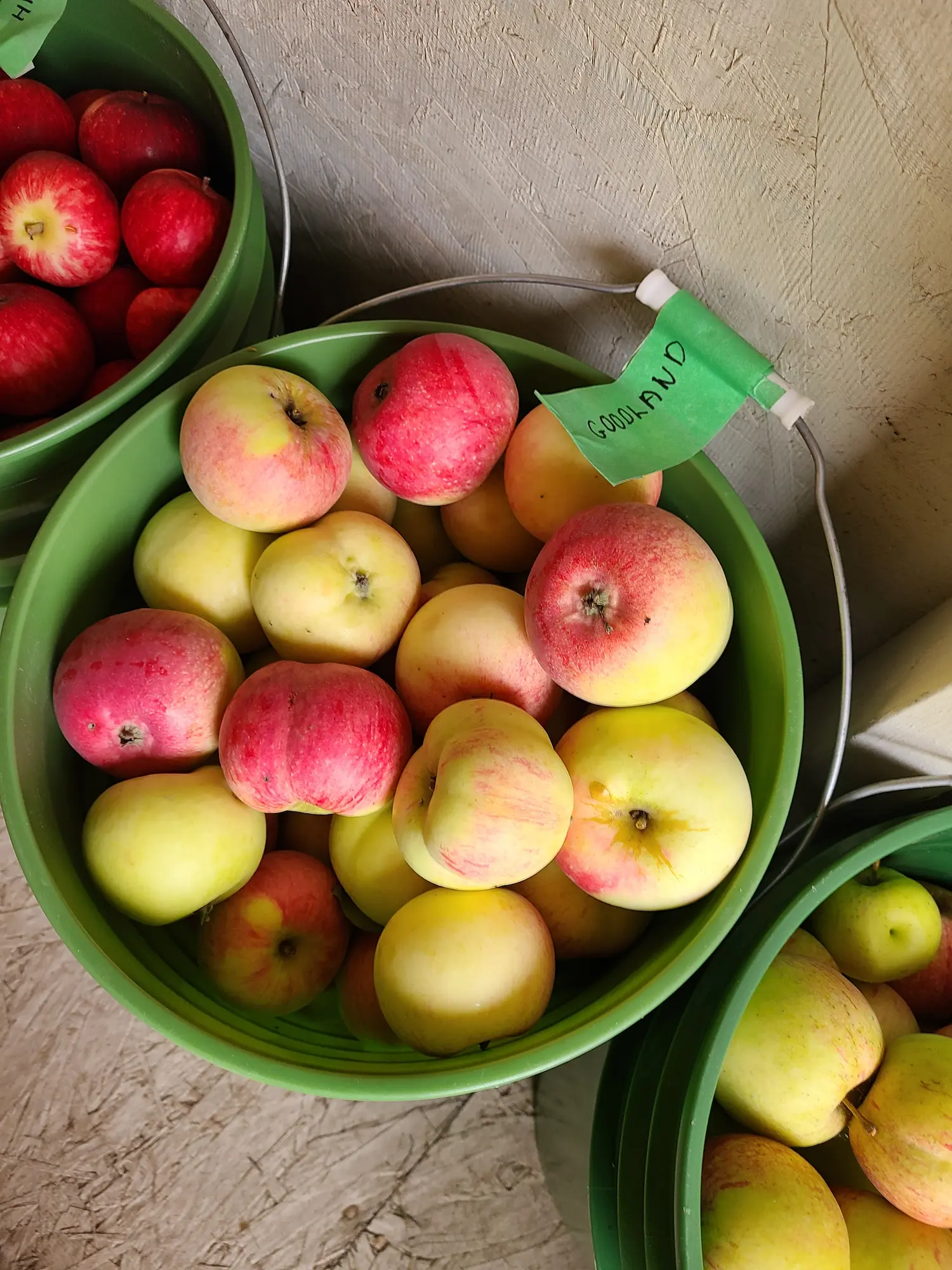 Farmer's Fields Orchard Package - Image 3