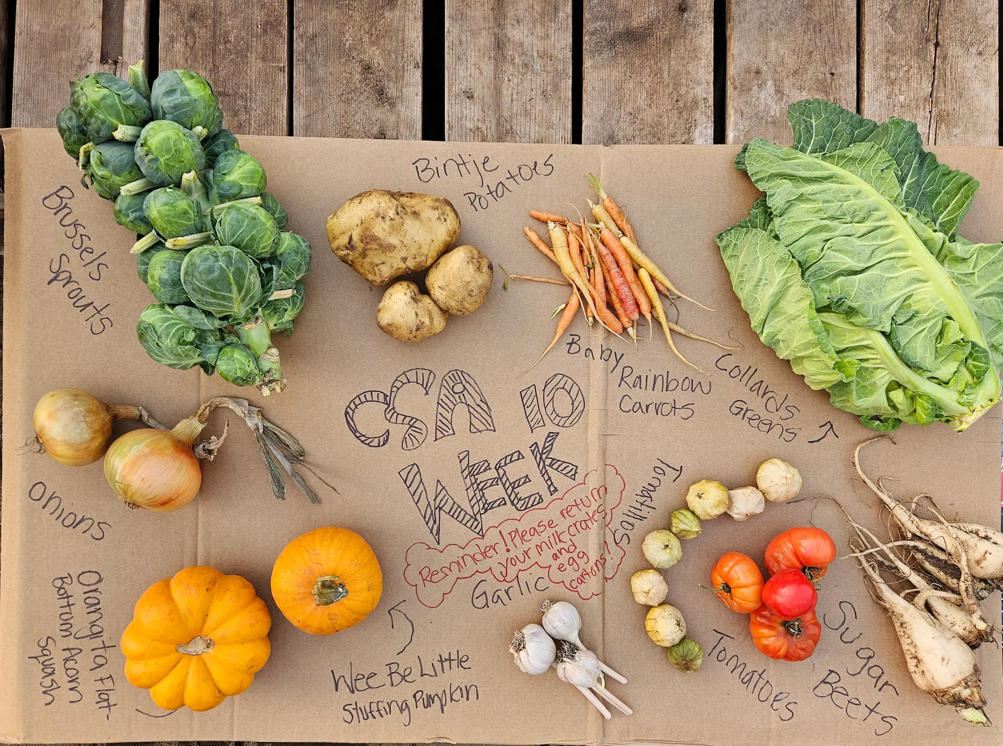 CSA All Year July 2026-March 2027 - Image 6