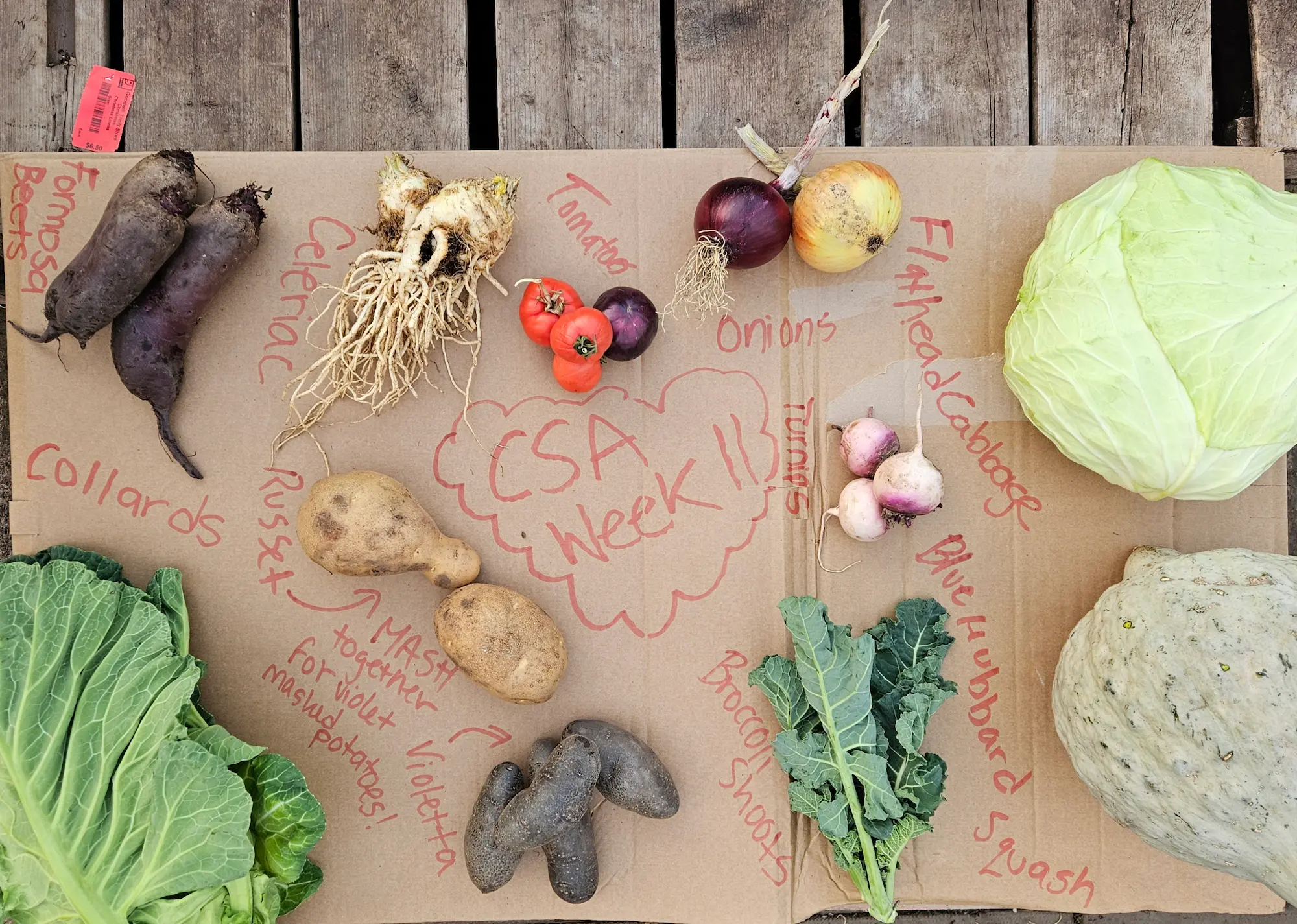 CSA All Year July 2026-March 2027 - Image 7