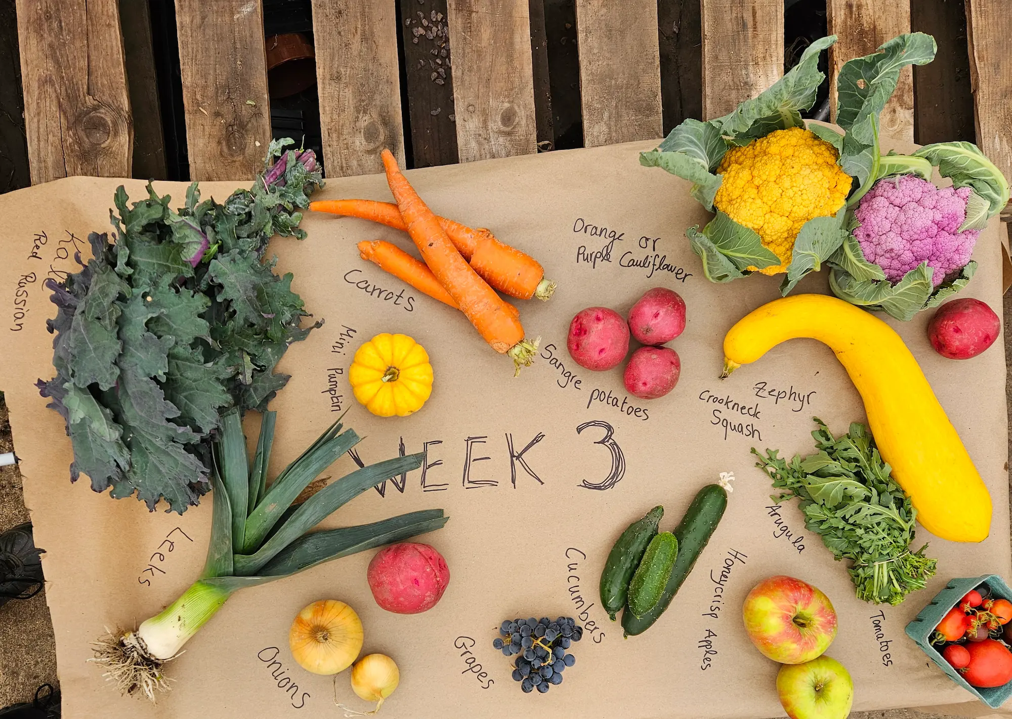 Sampler CSA Basket - Image 5