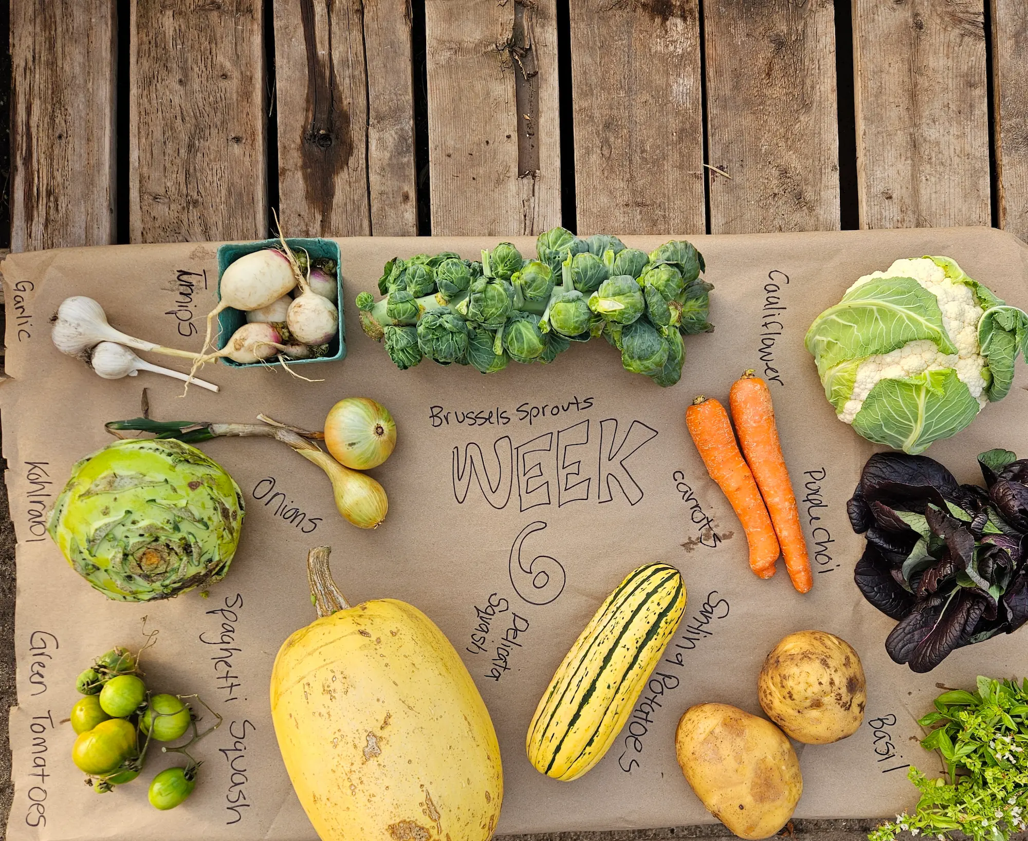 Sampler CSA Basket - Image 4