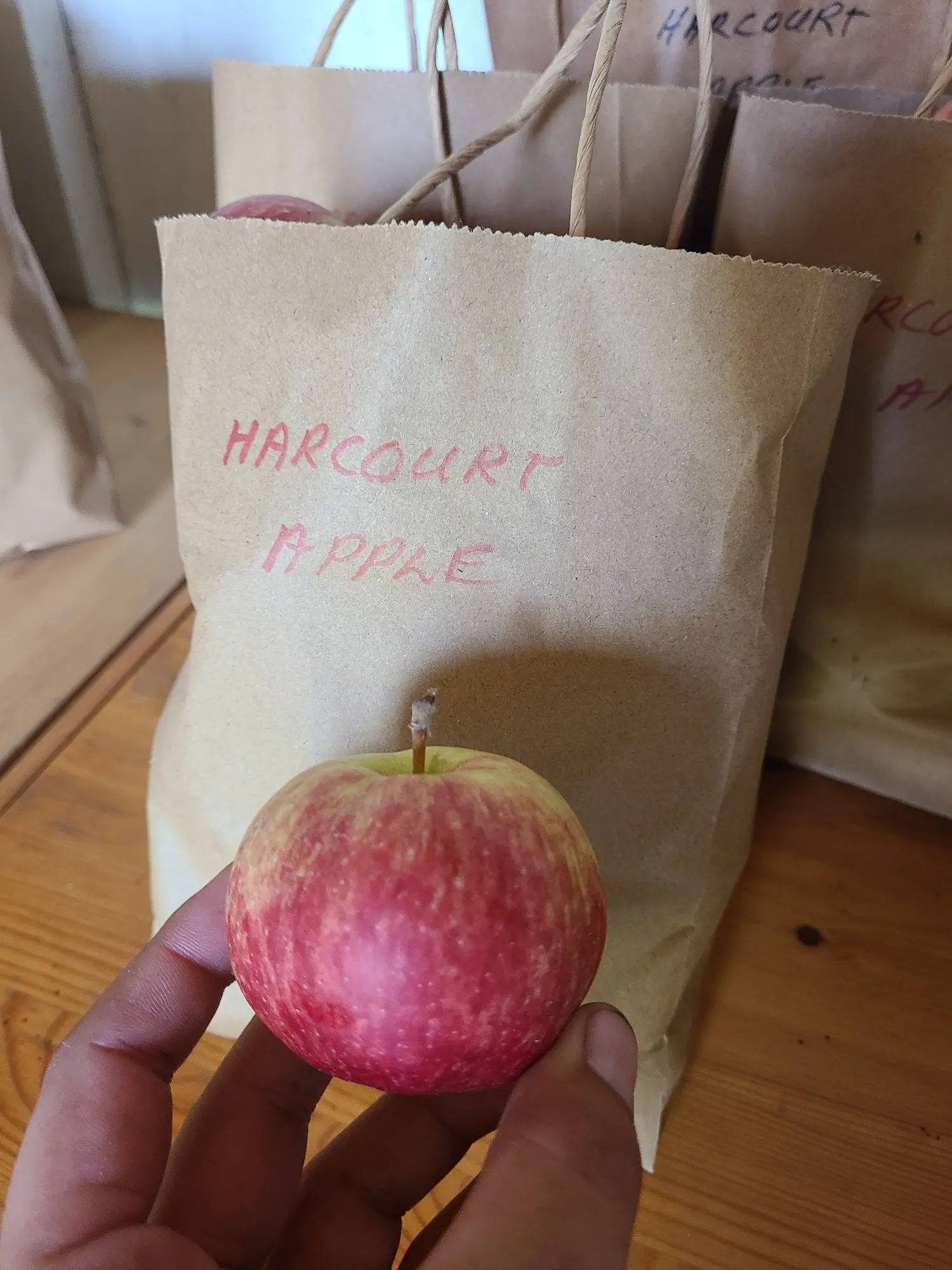 Harcourt Apple - Image 2