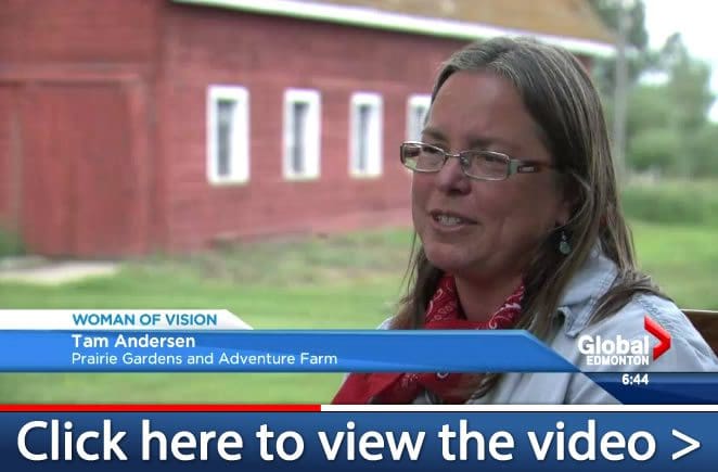 Global-Edmonton-Woman-of-Vision