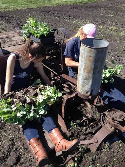 Planting at Prairie Gardens