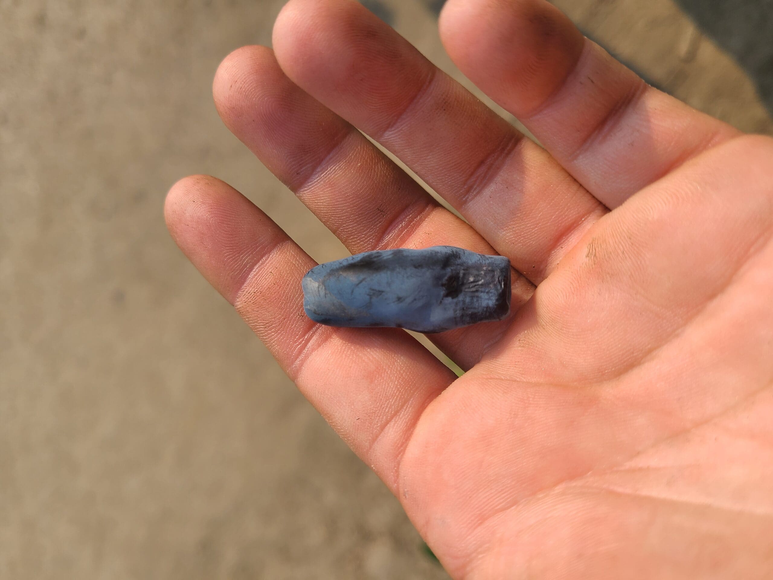 Featured image for “Aurora Haskap Berry”