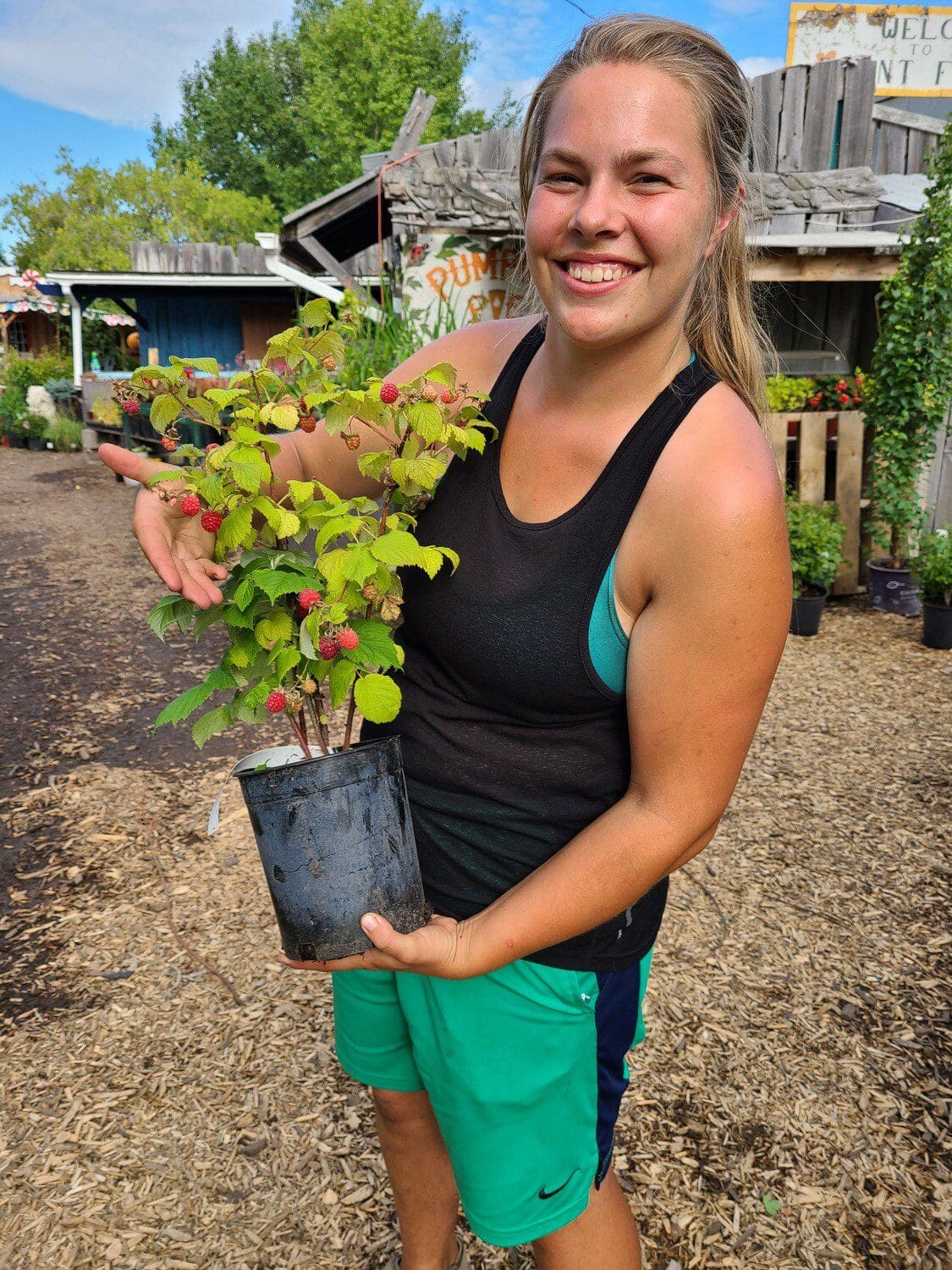 Featured image for “All-In Orchard Package”