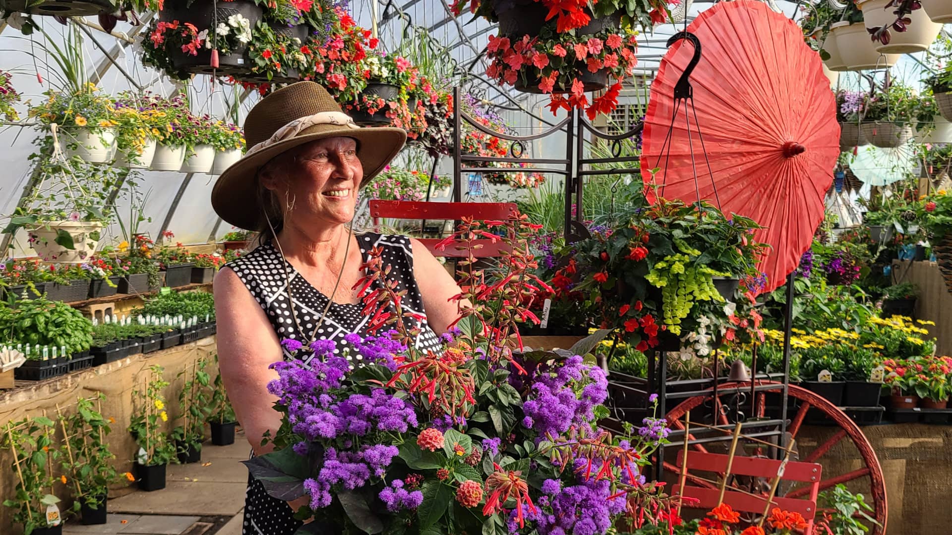 Featured image for “Hours of Operation”