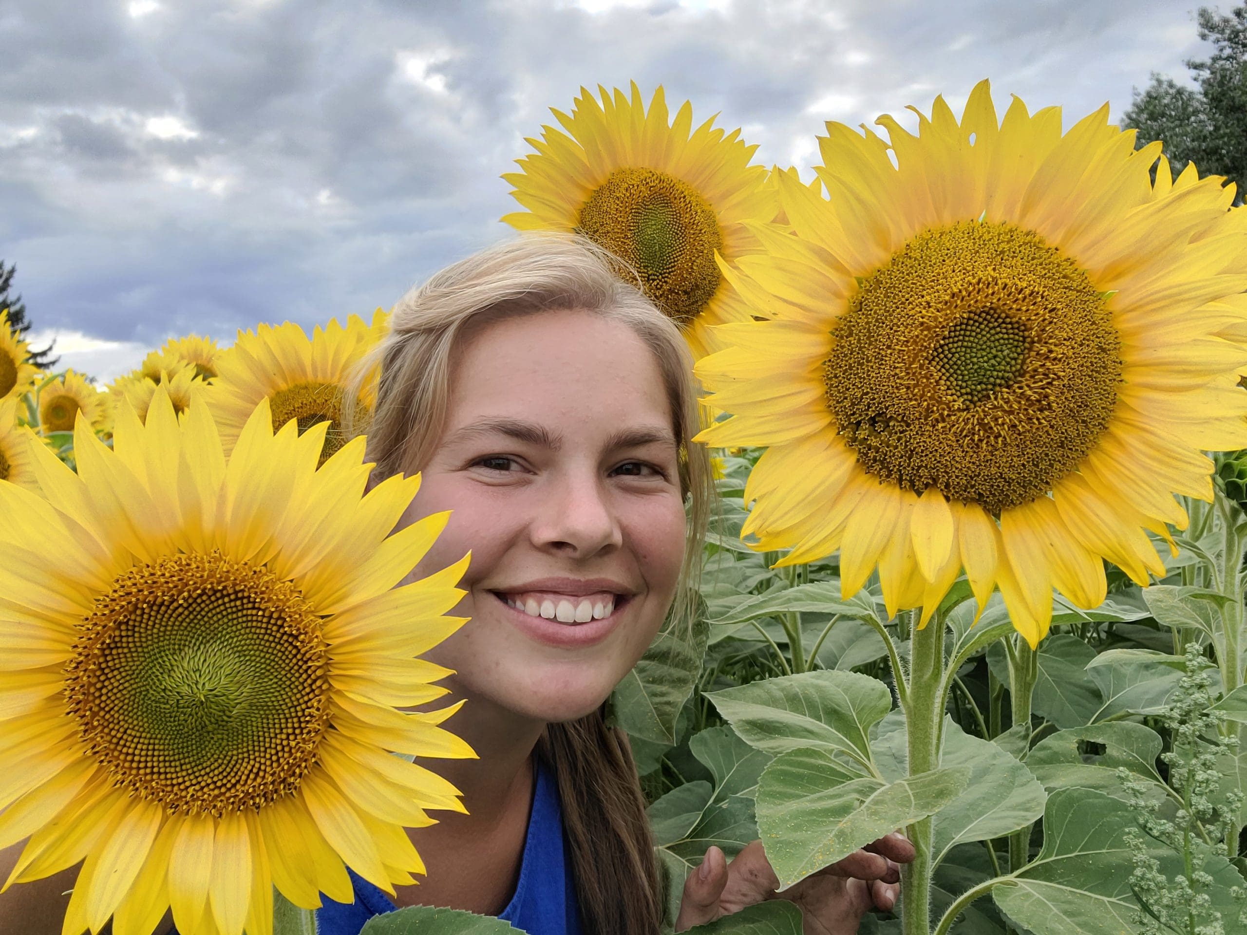 Sunflower Days General Admission