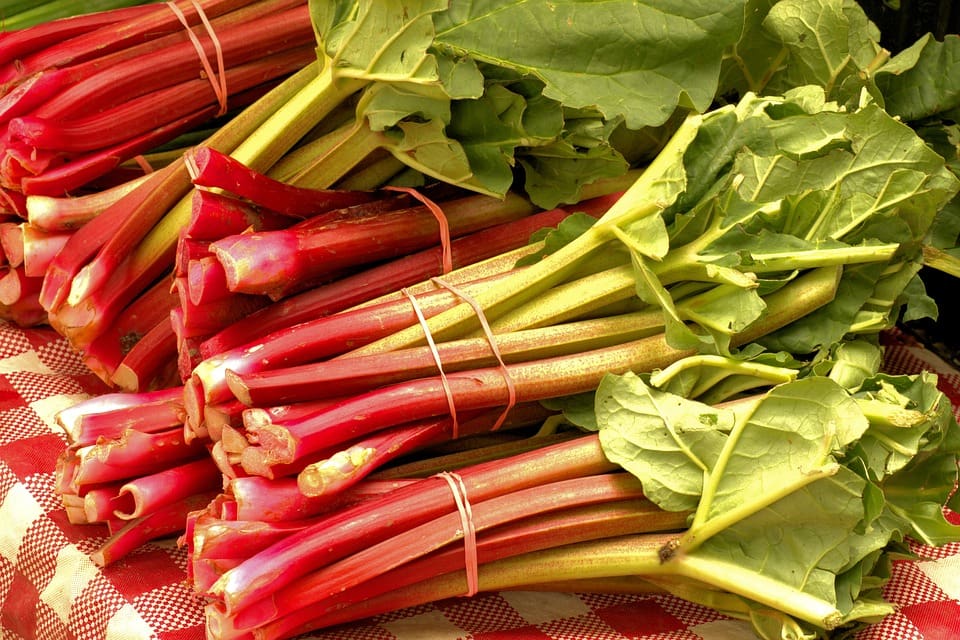 Featured image for “Victoria Red Rhubarb”