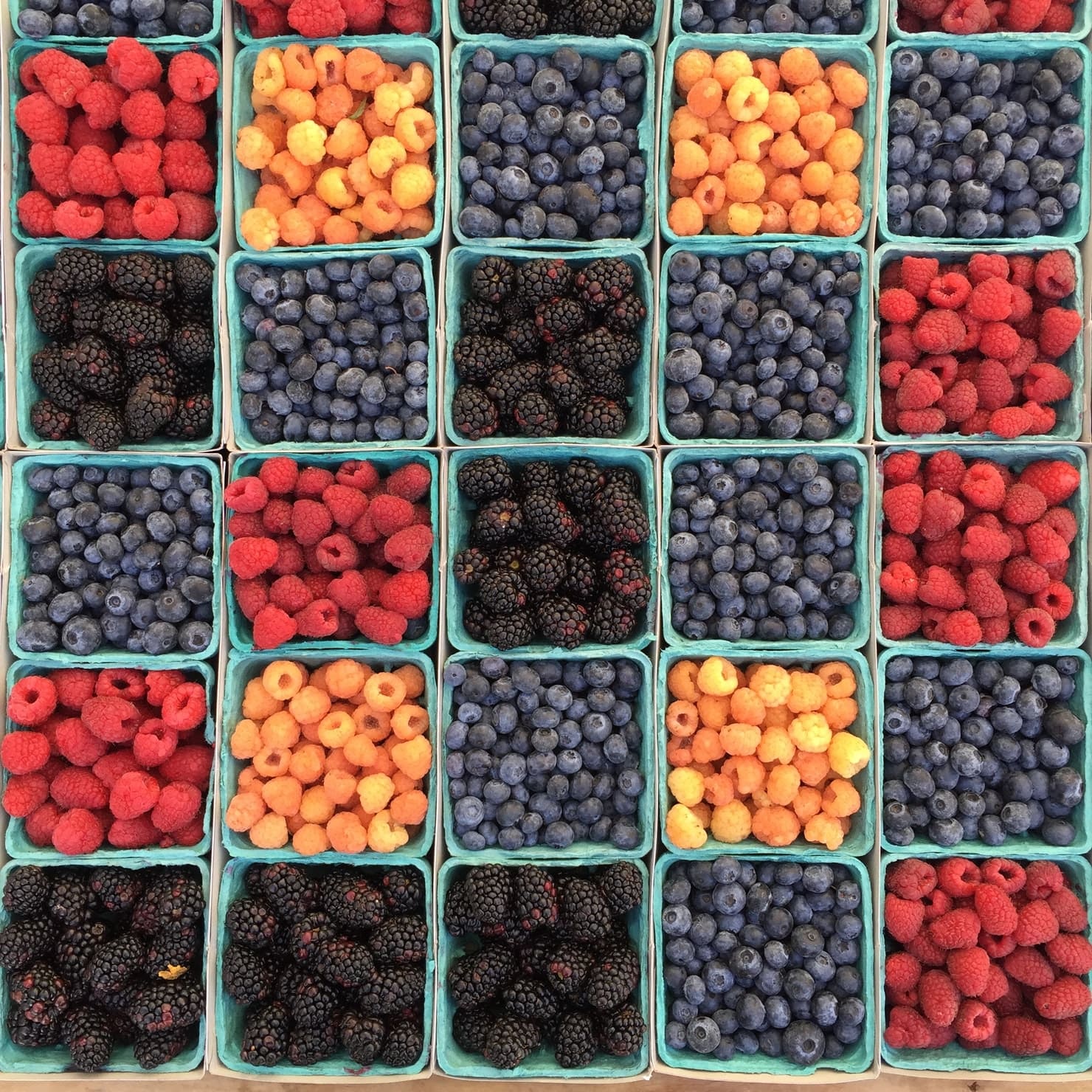 Featured image for “Bushels of Berries Orchard Package”