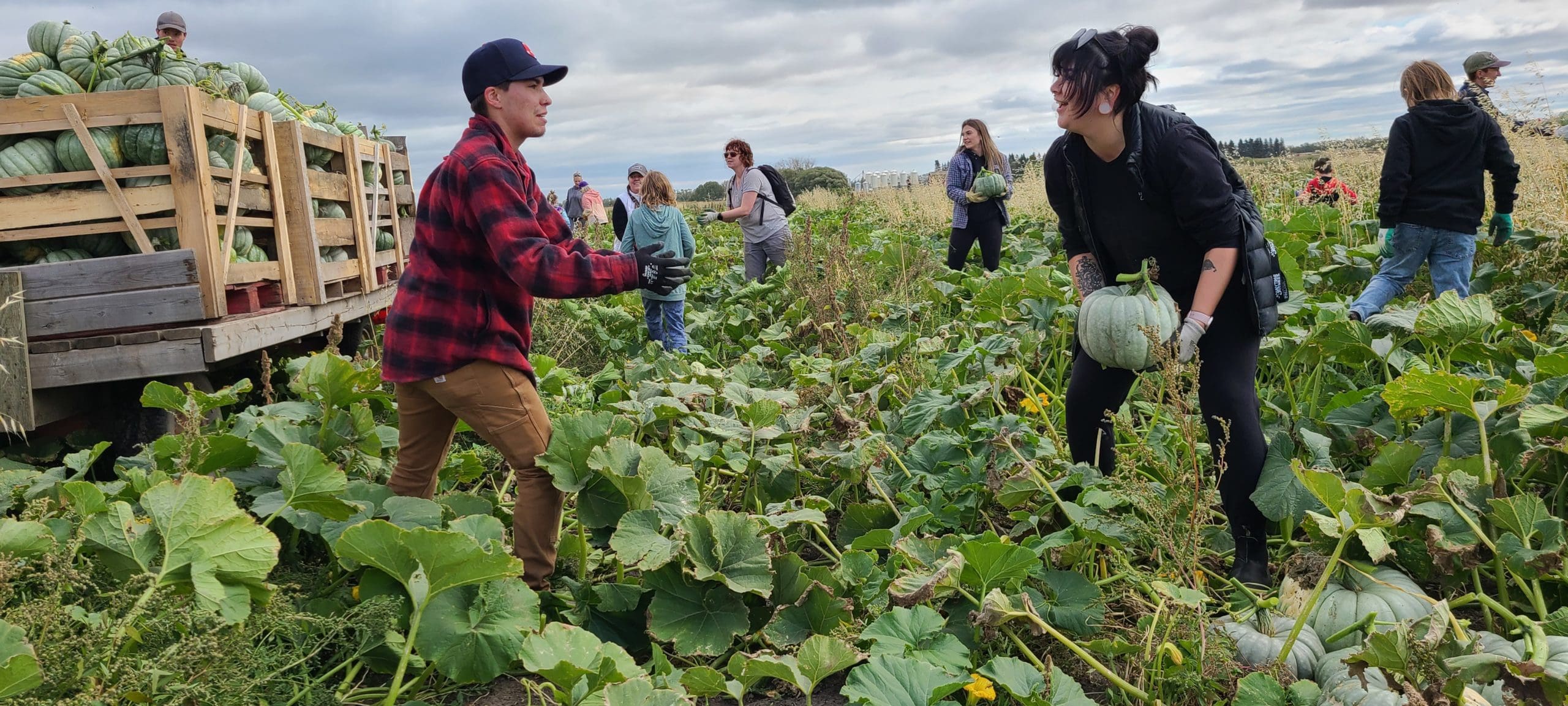 Volunteer at the Farm