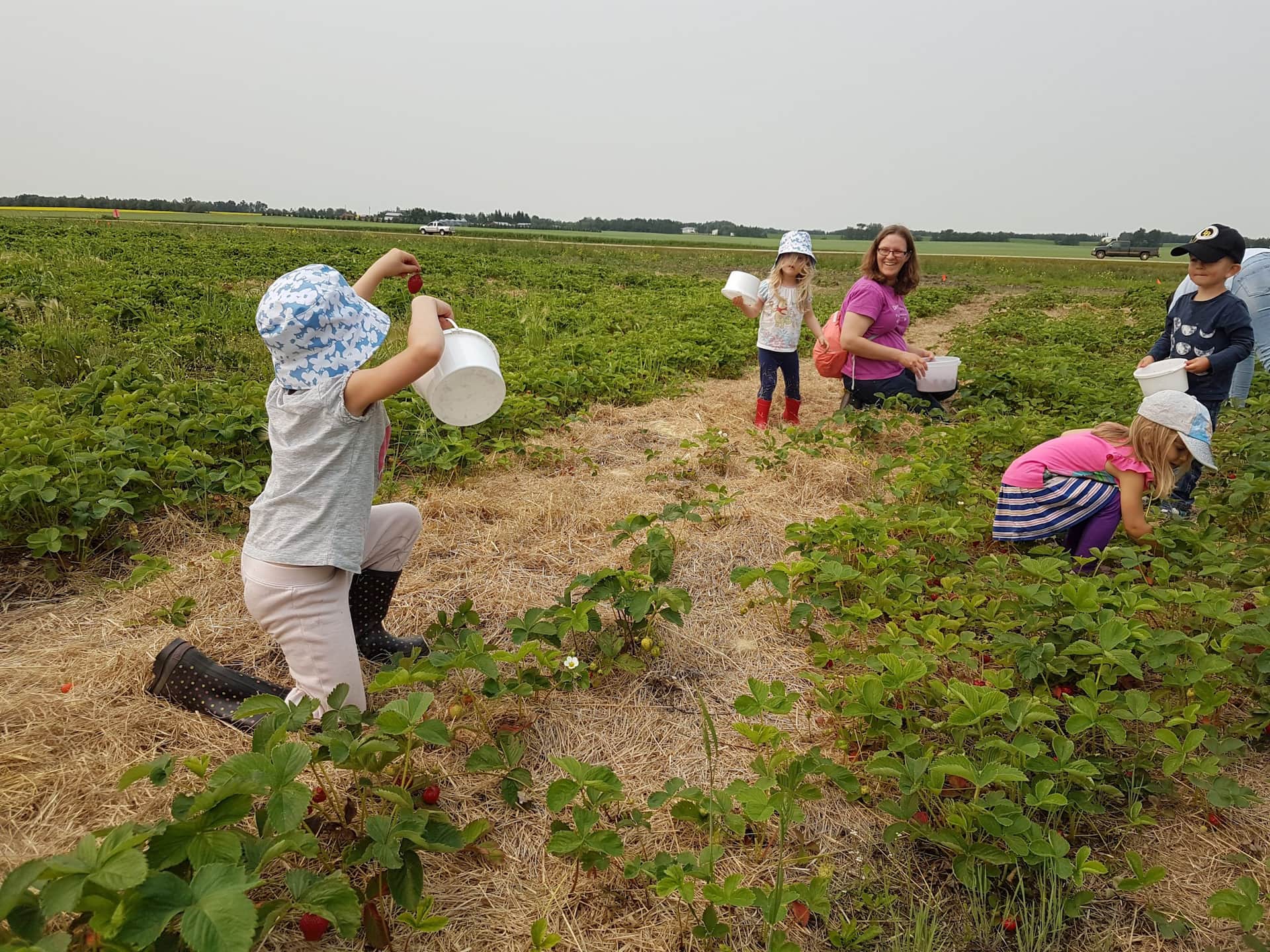 Fairy Berry Festival - Image 7