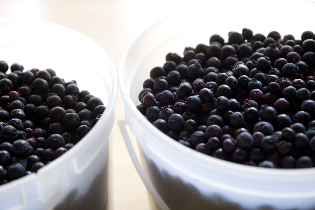 Featured image for “JB30 Saskatoon”