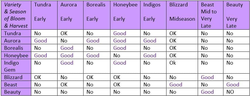 Haskap Season and Bloom Guide