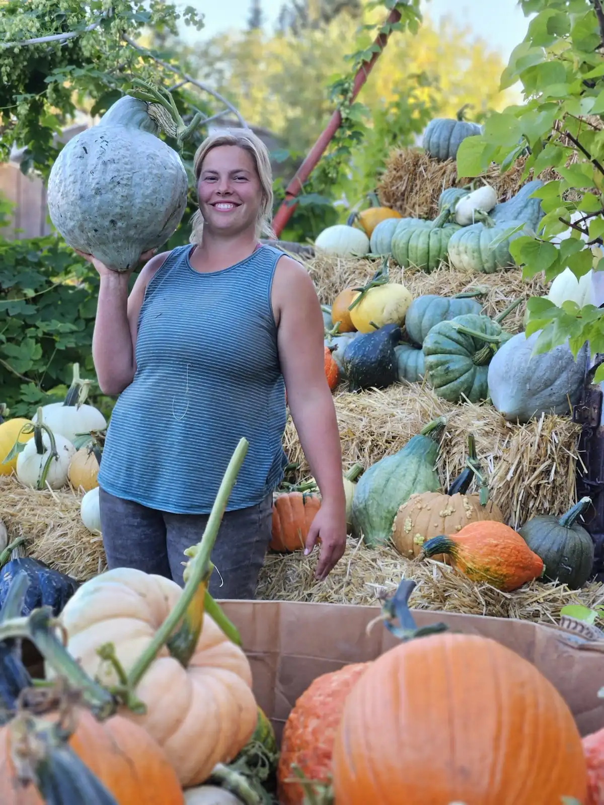 Featured image for “Pumpkins”