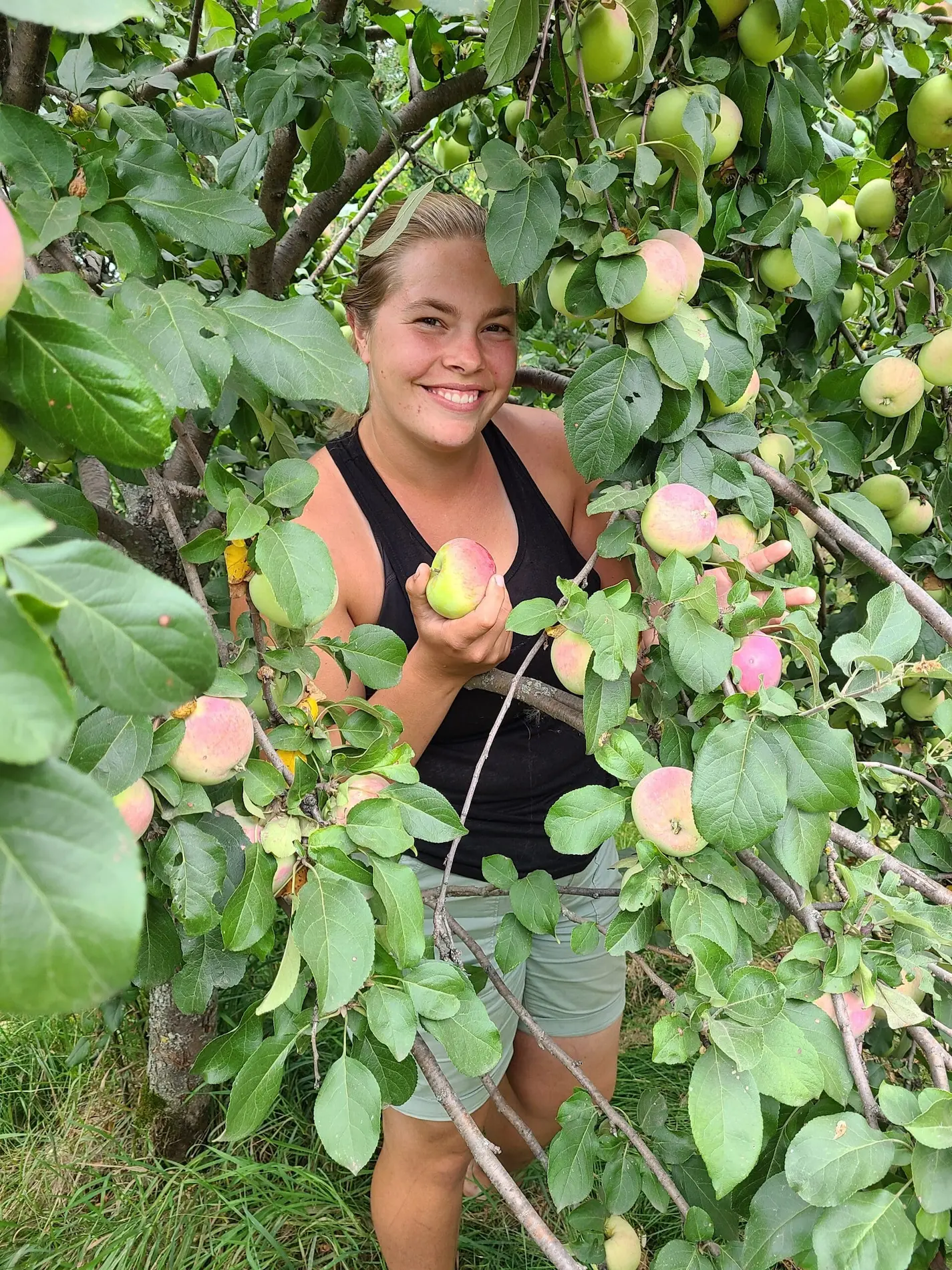 Featured image for “Contact Us & Directions”