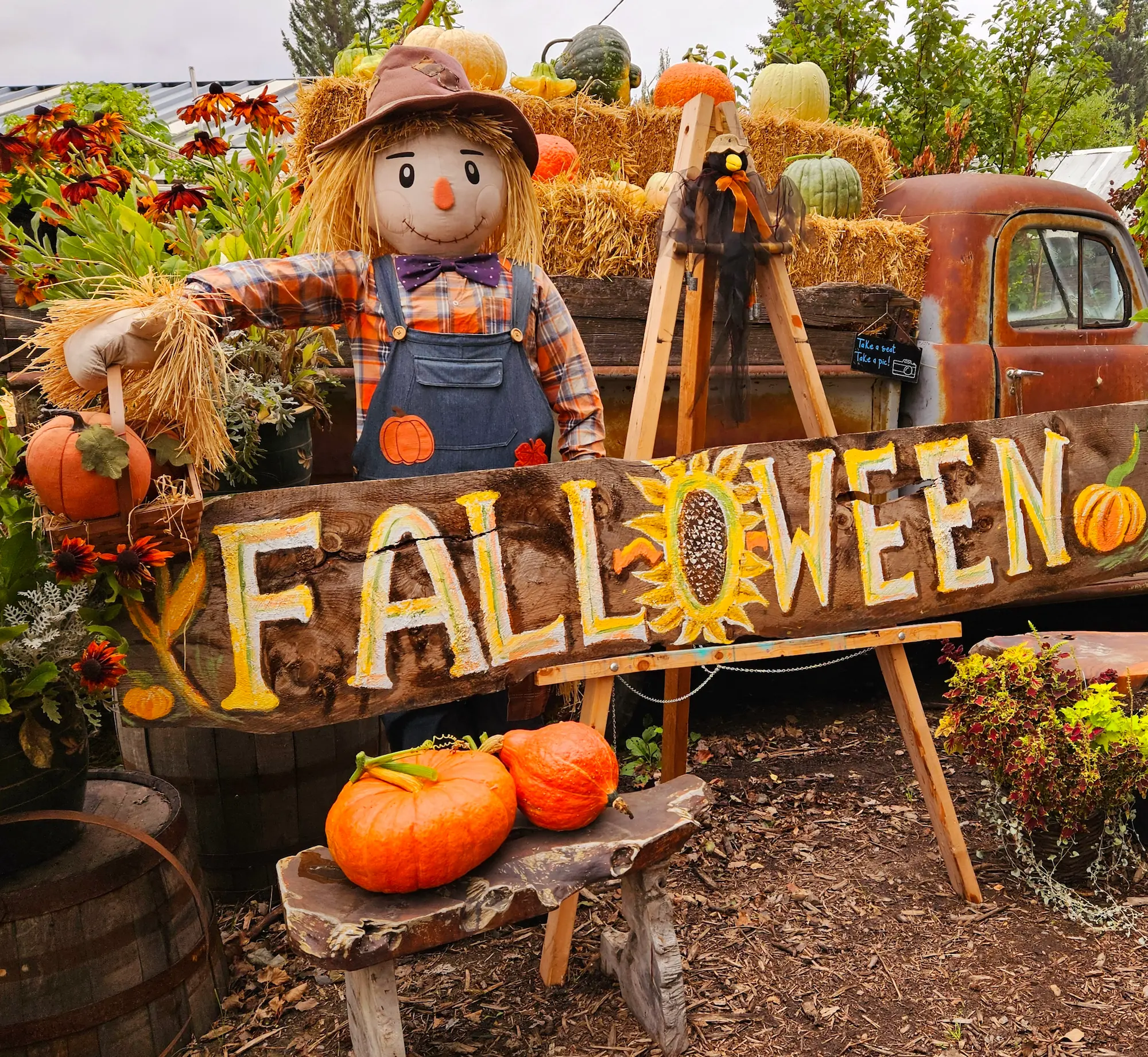 Featured image for “Fall-O-Ween Festival”