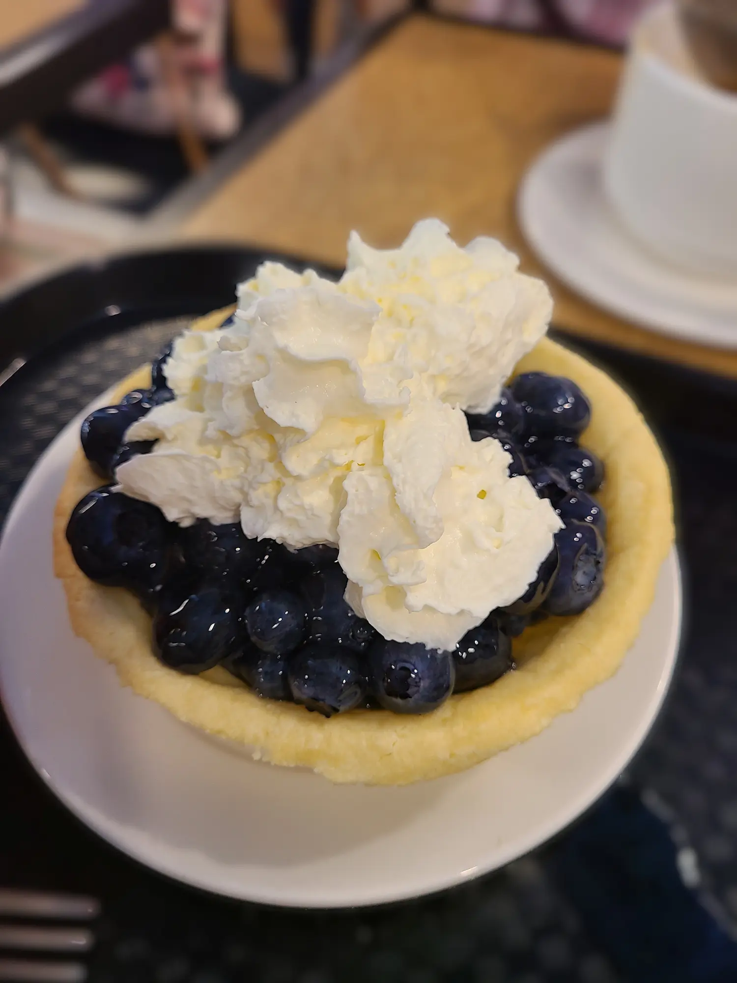 Featured image for “Northsky Blueberry”