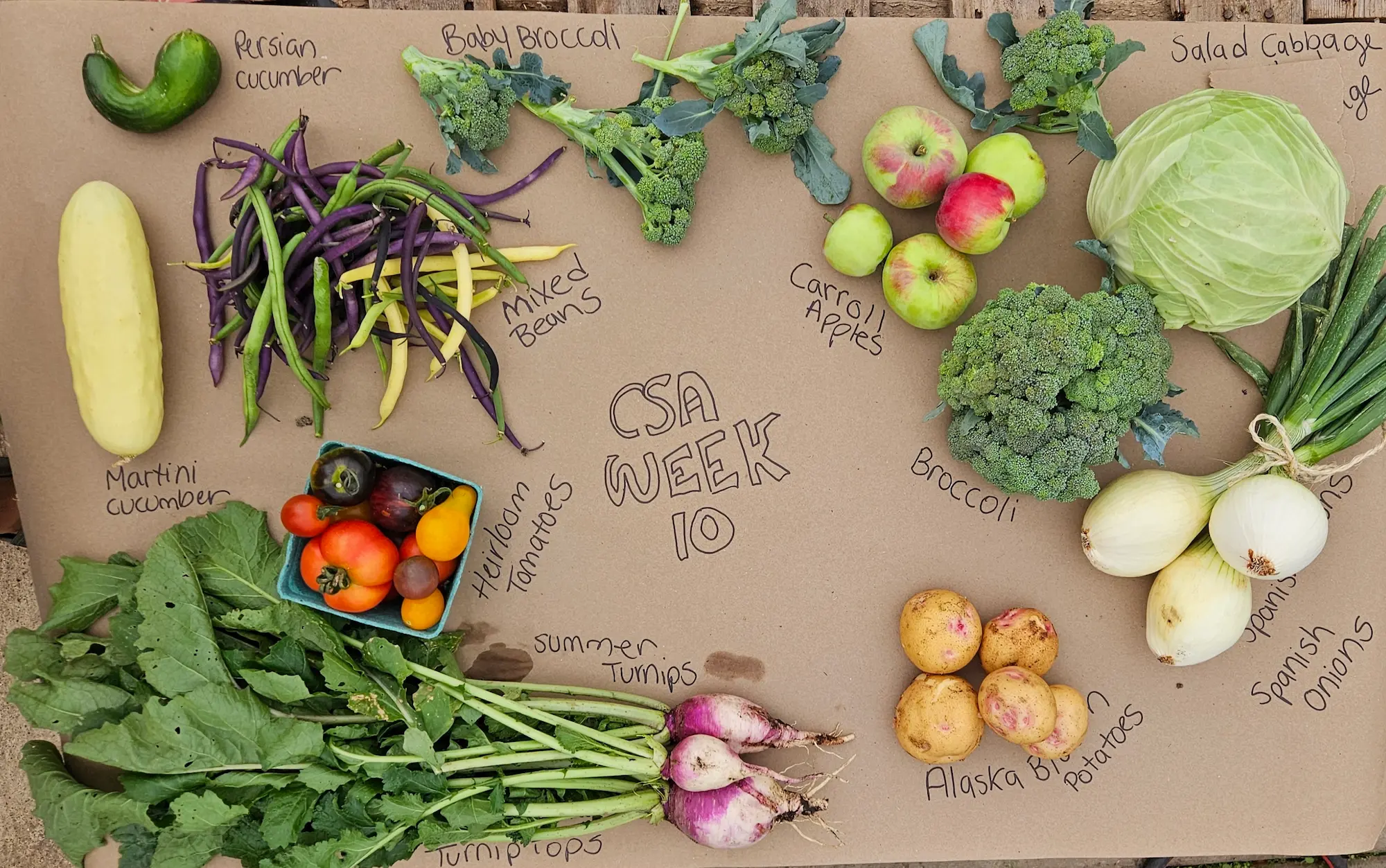 Featured image for “Community Supported Agriculture”