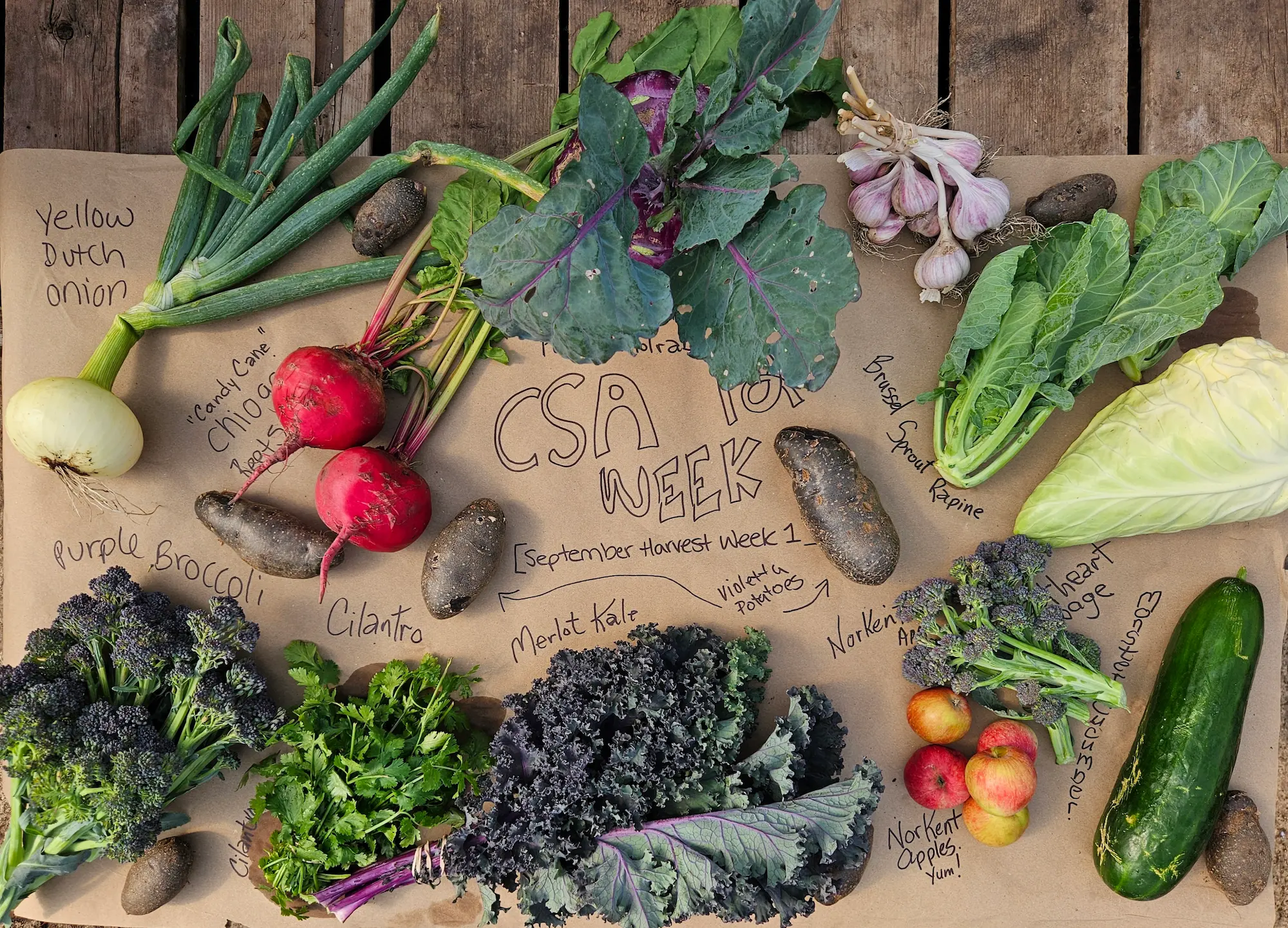 Featured image for “CSA Summer 2026”