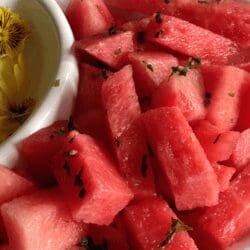 Growing vegetables watermelon mint