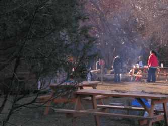 Company picnic campfire