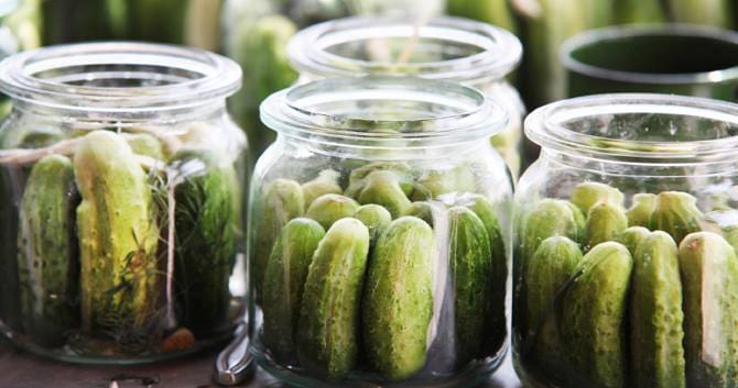 Pickled Cucumbers