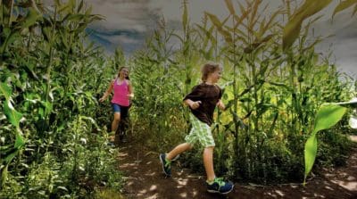 Prairie Gardens Corn Maze Fun