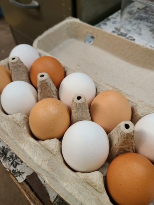 Farm Fresh Eggs Prairie Gardens