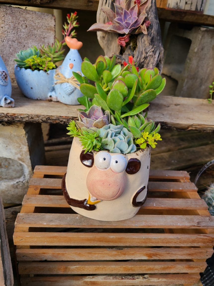 Mother's Day Succulent Monkey Planter Workshop - Prairie Gardens